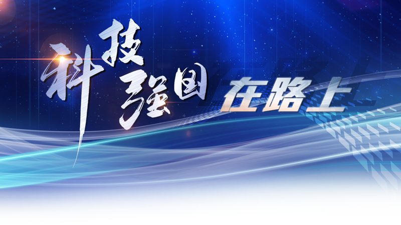 开源SaaS与闭源SaaS：架构差异与适用场景解析