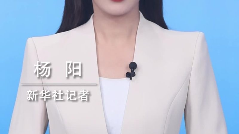 企业搜索大数据分析：揭秘企业信息检索的智慧内核